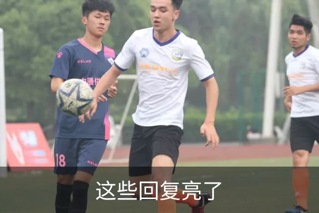 这些回复亮了